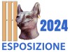 da definire 18 - 19 maggio 2024