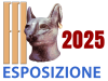 Siena 15 - 16 Marzo 2025