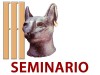 Webinar 9 giugno 2026