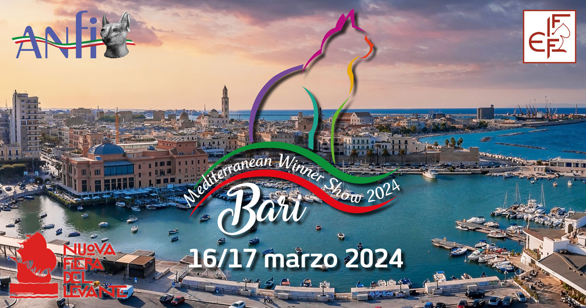 Mediterranean Winner Show 2024