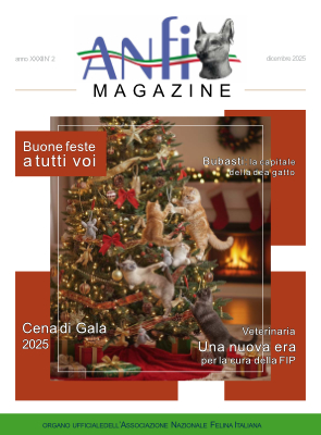 AM Dicembre 2025 Cover