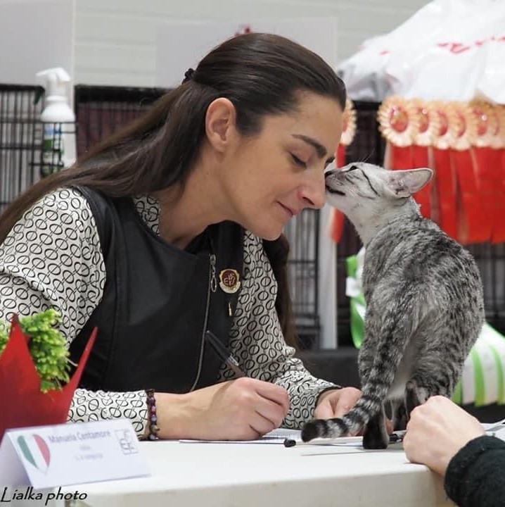Manuela Centamore