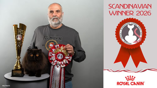 SW1 fabrizio Giovine