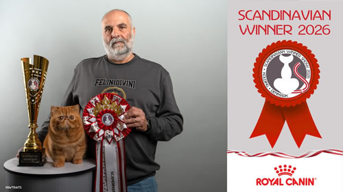 SW2 fabrizio Giovine