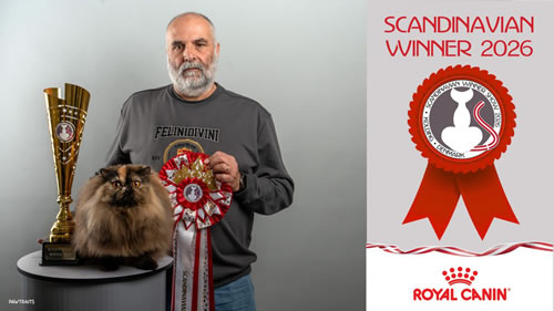 SW3 fabrizio Giovine