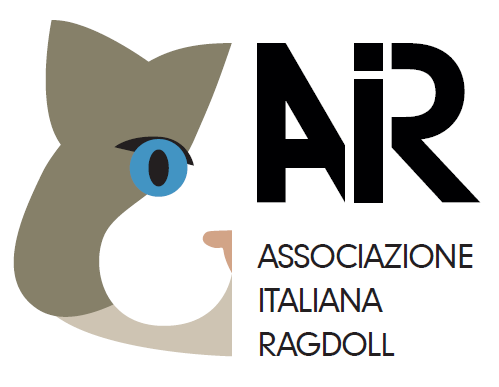 AIR logo