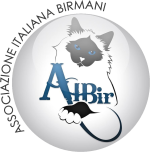 Aibir