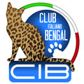 logo bengal