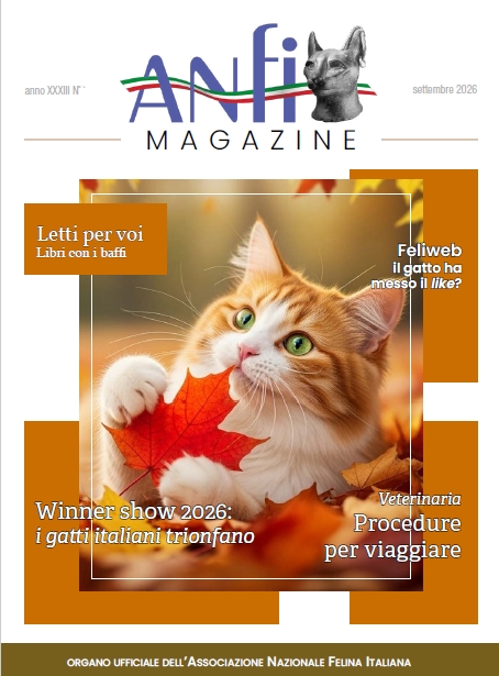 cover AM Settembre 2026